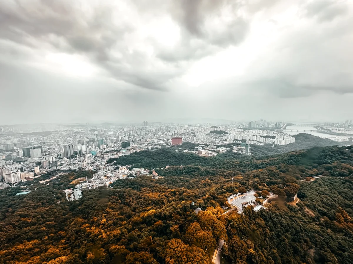 a view of a city from a high point of view