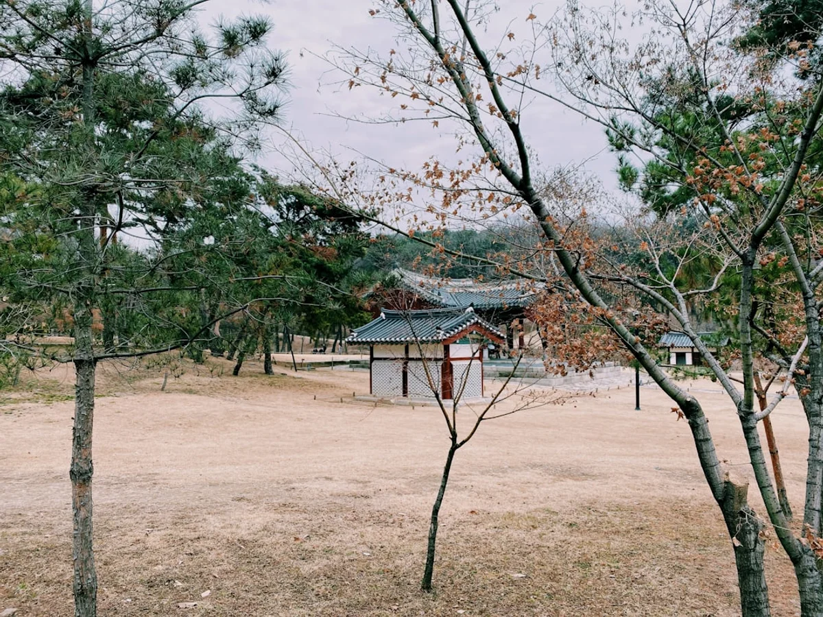 Brown wooden house near trees during daytime related to Plan the perfect cultural in Korea