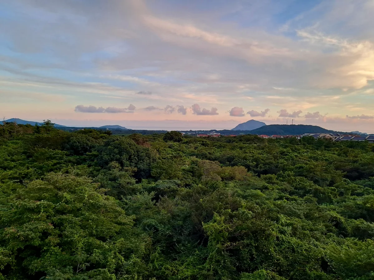 A landscape with trees and mountains in the background in Korea