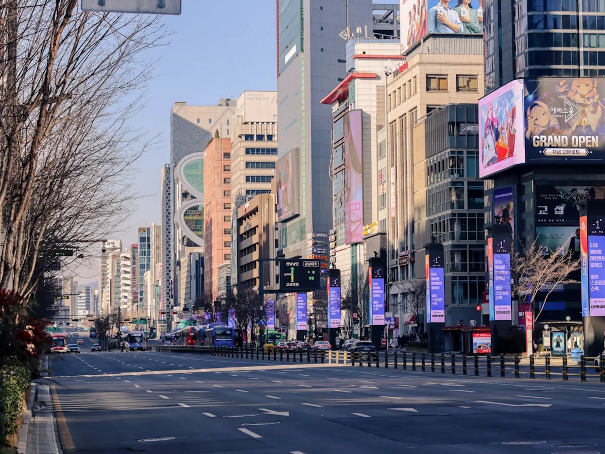 Green trees on mountain under blue sky during daytime in Korea